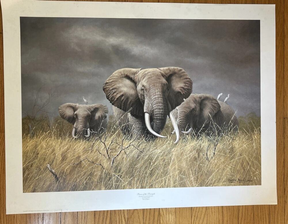 Charles Frace Art Print Elephants “ Power Of Serengeti” Signed & Numbered 21x30